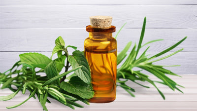Why Martial Artists Want Tea Tree Oil in Their Soap: Skin Benefits and Uses