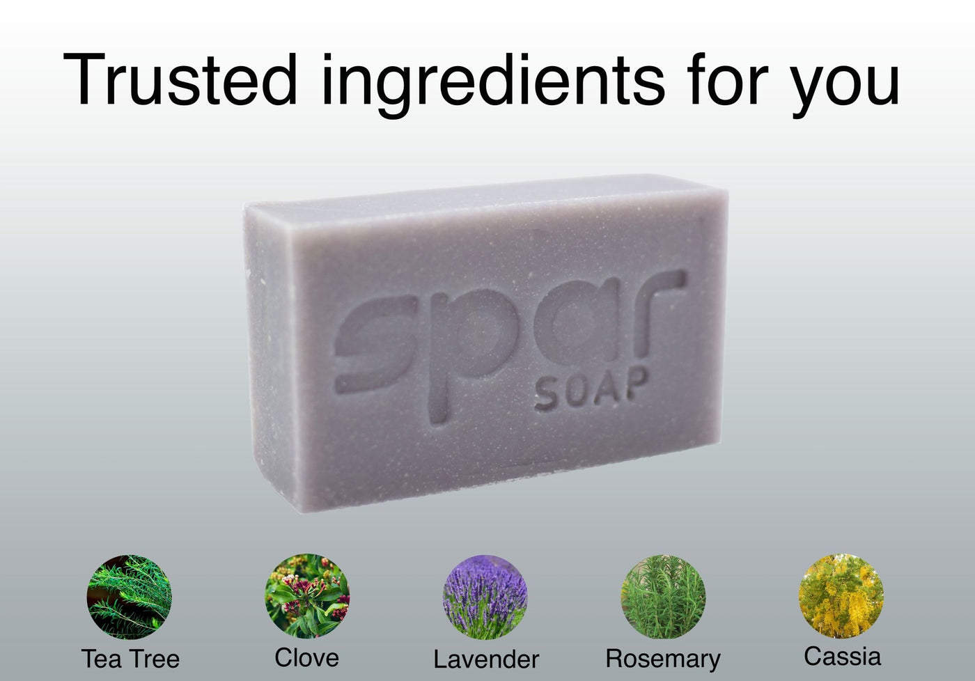 Platinum Bar - Spar Soap | Natural Soap for Combat Athletes