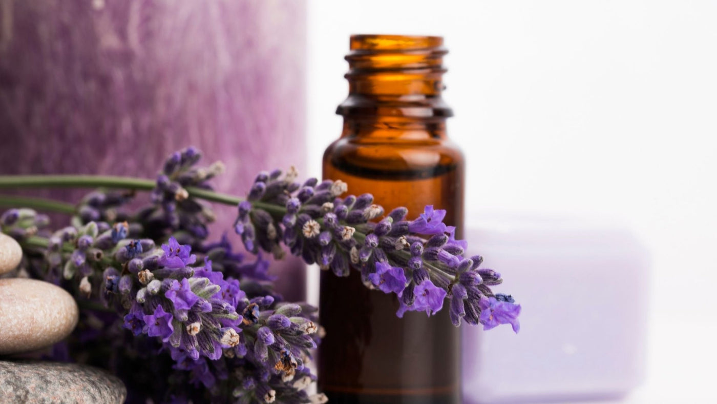 10 Benefits of Lavender Oil - Spar Soap | Natural Soap for Combat Athletes