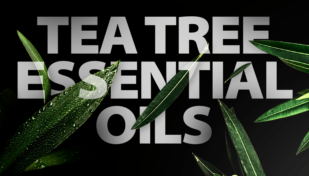 Halloween Special 4 - Pack - Spar Soap | Natural Soap for Combat Athletes