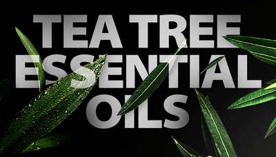 Halloween Special 4 - Pack - Spar Soap | Natural Soap for Combat Athletes
