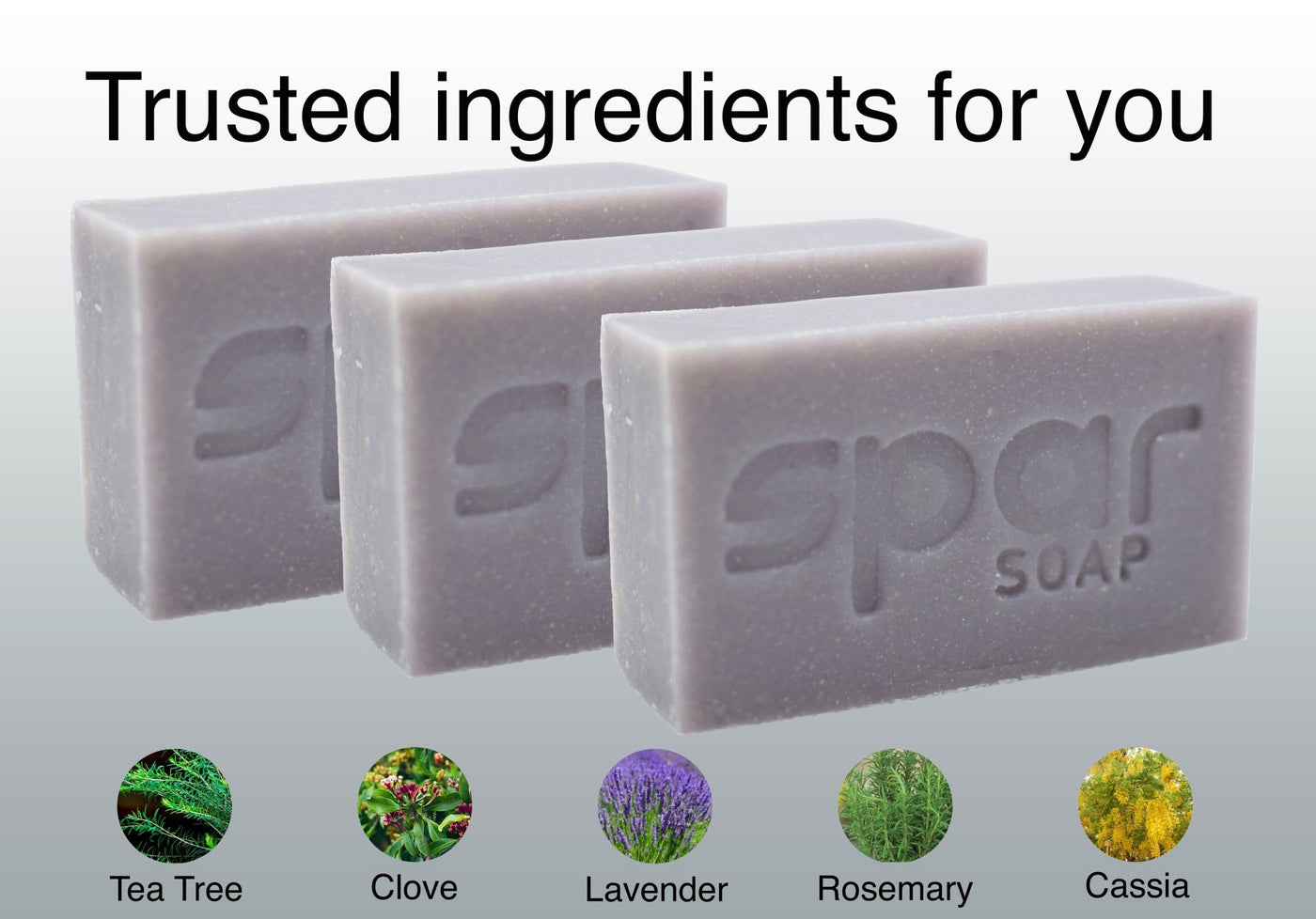 Platinum Bar 3-Pack - Spar Soap | Natural Soap for Combat Athletes